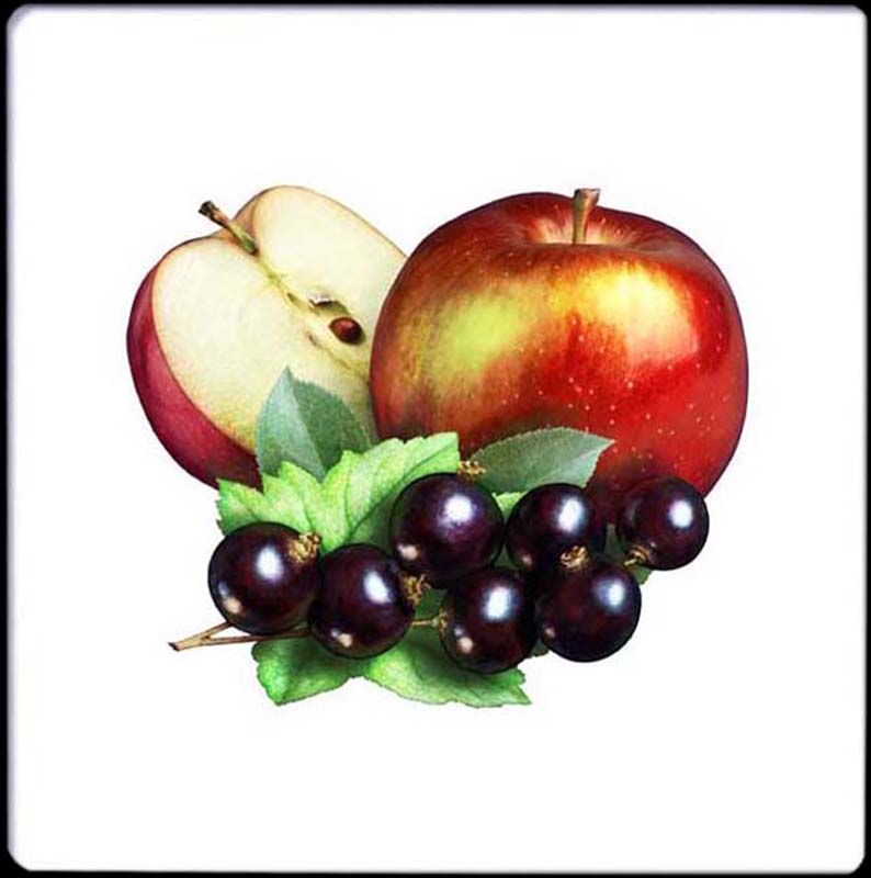 Pixley Berries - Apple and Blackcurrant
