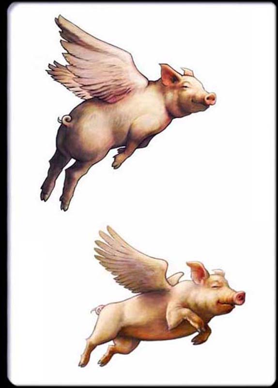 Pigs Might Fly in Pairs