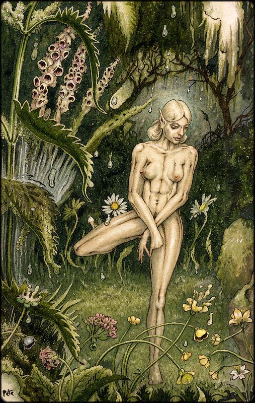 Nymph