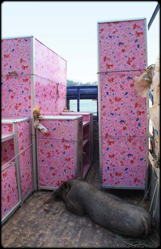Pink Pig Kitchen
